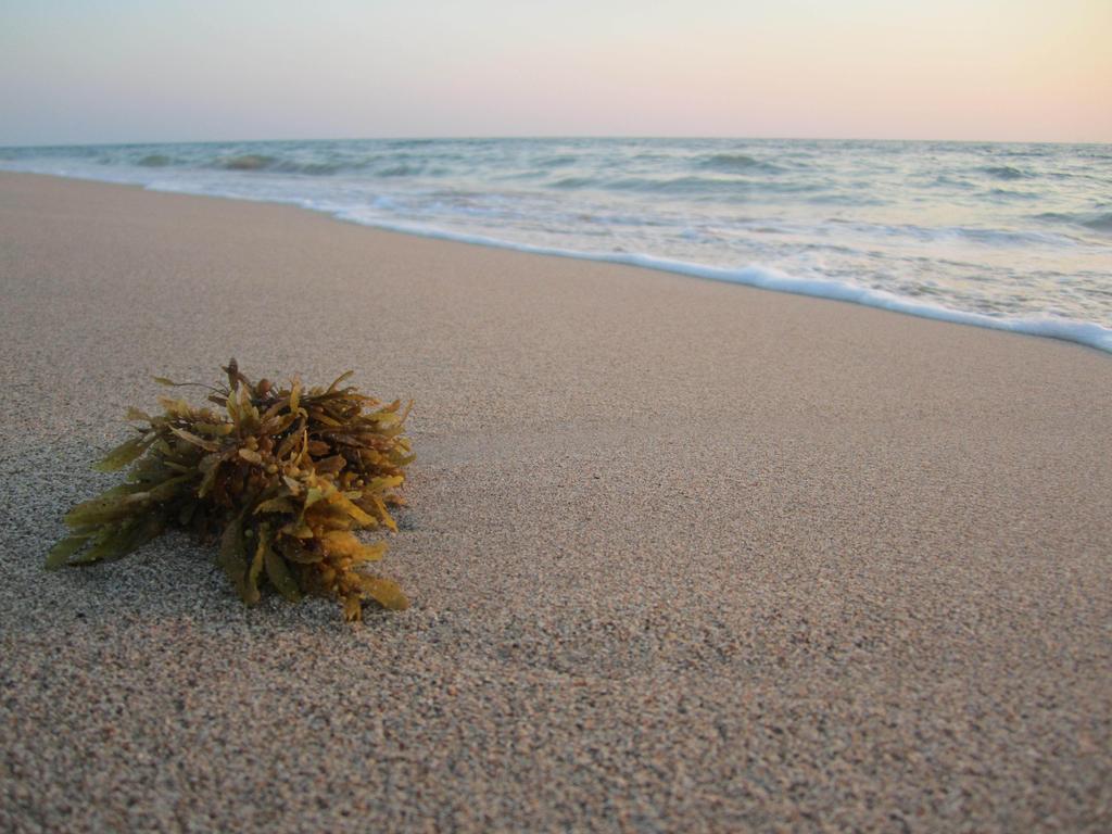 Lanta Il Mare Beach Resort Ко-Ланта Екстер'єр фото
